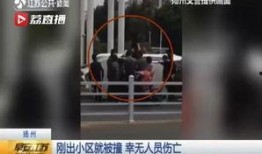 江苏女子爆料新闻视频最新,揭露惊人真相！